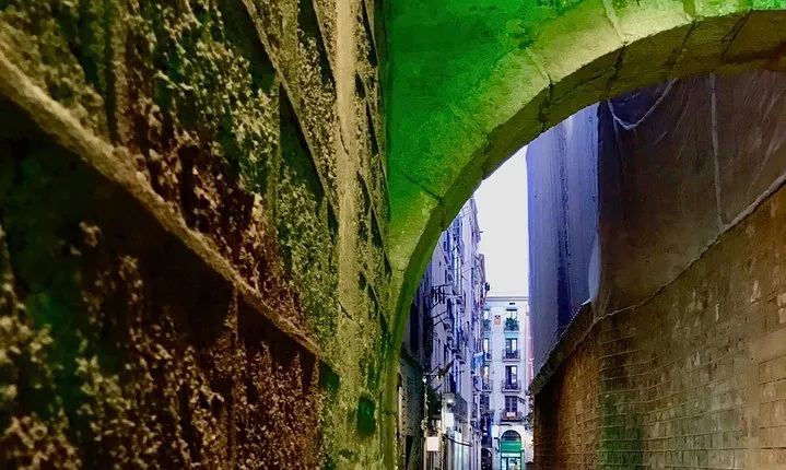 Explore hidden streets of Barcelona with a local - Private Tour