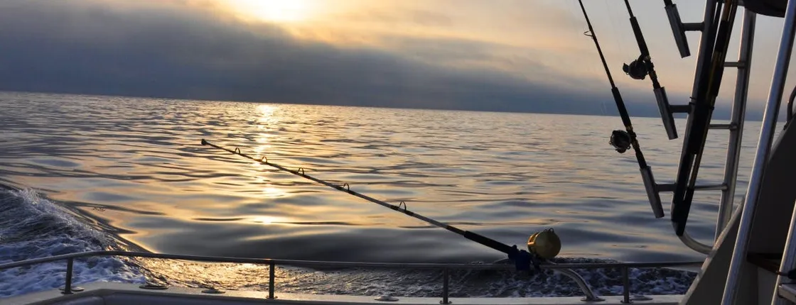 Private nighttime swordfishing experience in Hollywood