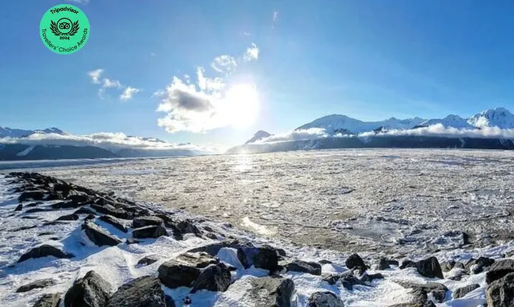 4 day Alaska Seward Camping Adventure from Anchorage