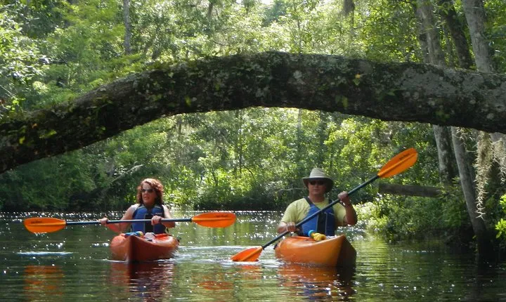 Lofton Creek Kayaking Trip with Professional Guide