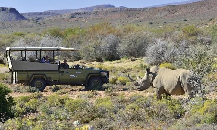Cape Town - 2Days 1-Overnight Sanbona Safaris Game Reserve Tour 