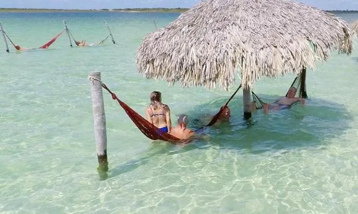 Private Buggy Ride to Lagoa Paraíso + Buraco Azul + Prea + Tree of sloth. 6hs
