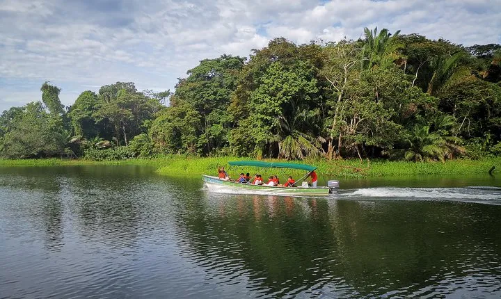 Panama Canal Monkey & Wildlife Boat Safari