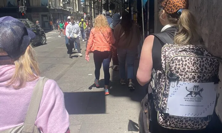 Historical Cat Tales Walking Tour Financial District