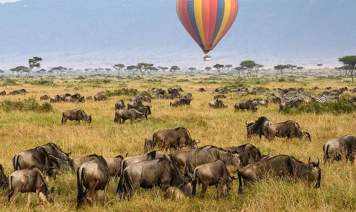 Safari Multi- day Private Tour from Arusha
