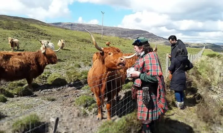 Full-Day Private Guided Shennachies Road to Isles and Skye Tour