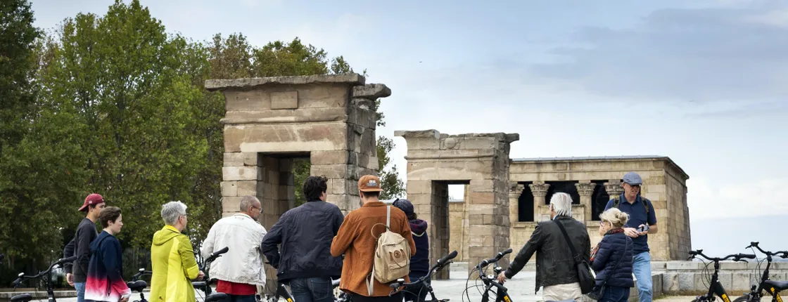 Madrid mosaic e-bike tour