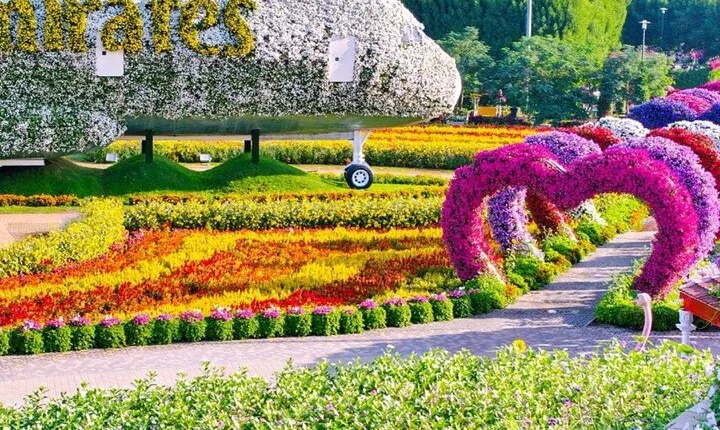 Pass Ticket to Miracle Garden from Dubai