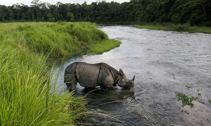 Budget Tour in Chitwan and Pokhara, Nepal