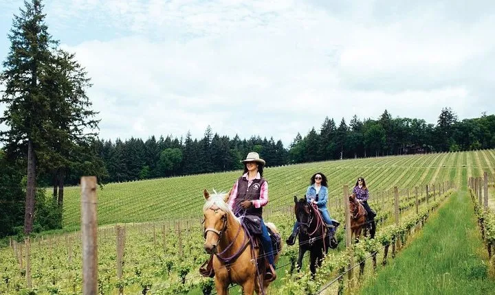 Horseback Ridings and Wine Tastings in a Winery of San Gimignano