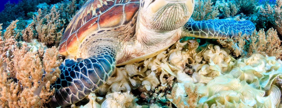 Key West Aquarium tickets