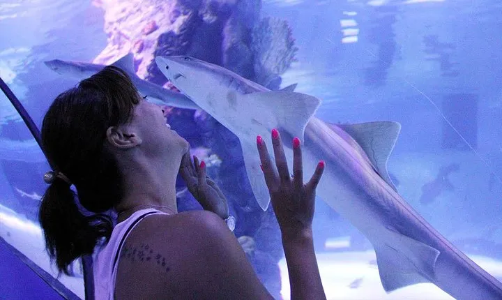 Antalya Tunnel Aquarium - Departure from Side