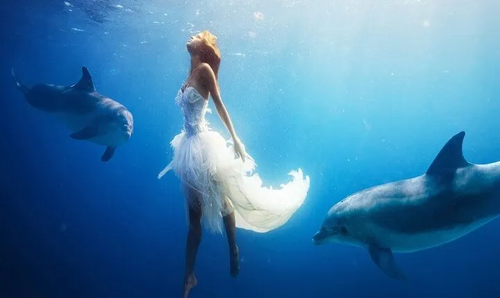 Exclusive Dolphin House VIP Experience in Hurghada