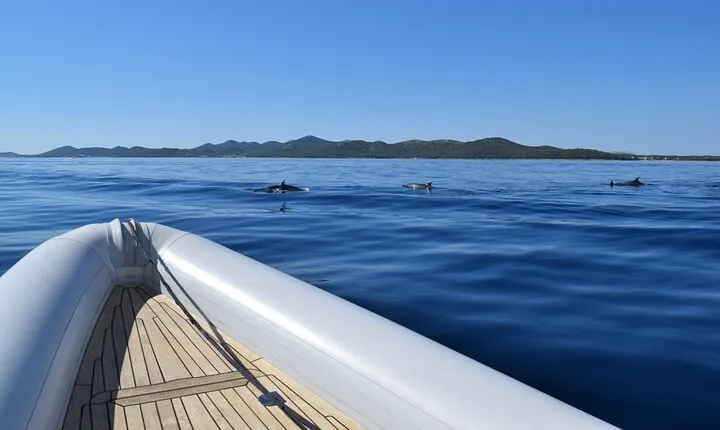Super Snorkeling and Sandy Beach Bays on 7 Spots in Zadar