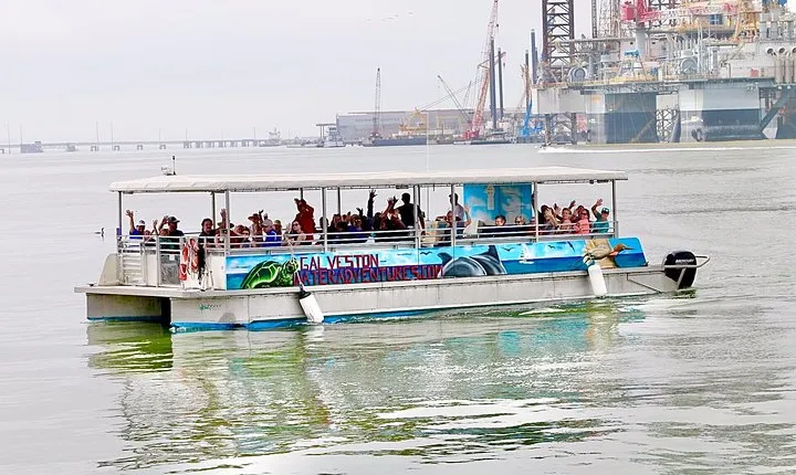 Dolphin Sightseeing Tour with Guide