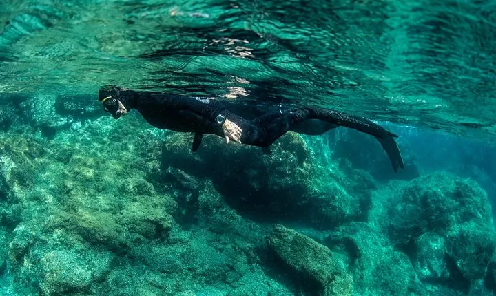 Wreck Snorkeling