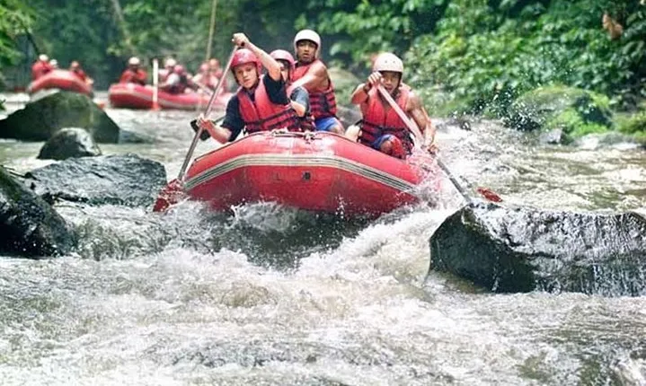 Bali Ayung River Rafting, Rice terraces and Ubud Monkey Forest Tour