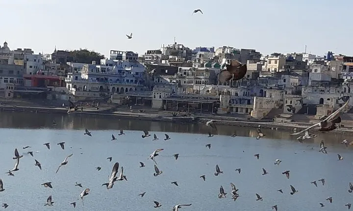 Unforgettable 11 Day Guided Golden Triangle Tour From Bangalore