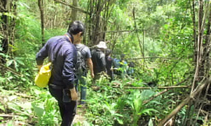 Small Group : Trekking Trip in Chiang Mai (Doi Suthep Area) with Market Tour