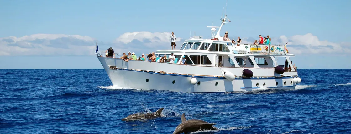 La Gomera Whale Watching Cruise from Valle Gran Rey