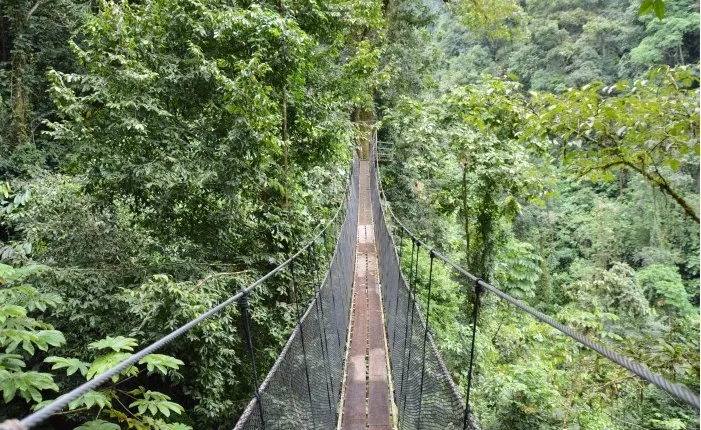 Rainmaker Park Tour from Manuel Antonio
