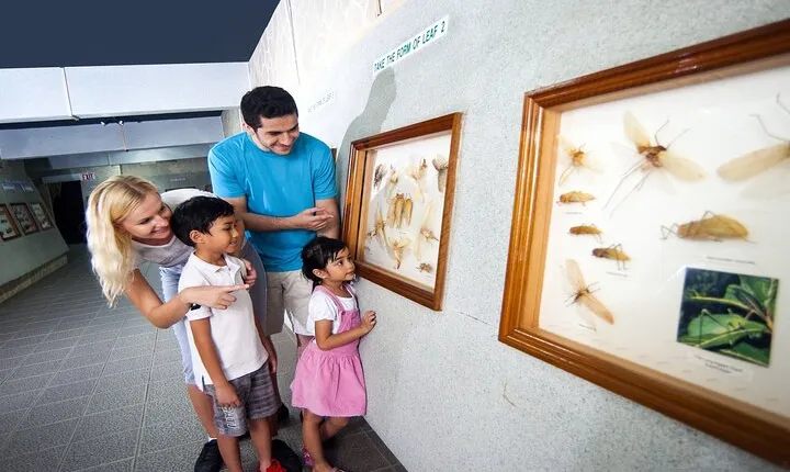 Kuala Lumpur Half Day Family Tour With Aquaria KLCC