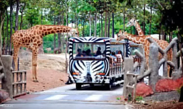 Chiang Mai Night Safari Tour including Transfer (Minimum 2 pax)