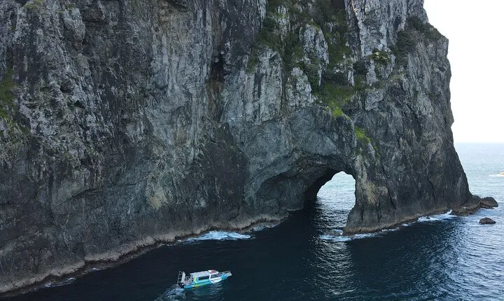 3 Hours // Hole in the Rock Cruise & Bay of Islands Tour