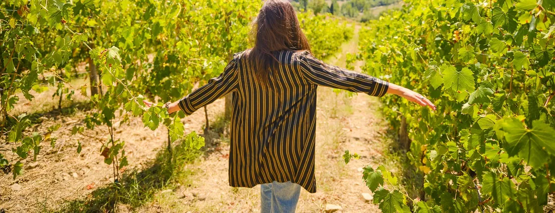 Private Half-Day Tour from Florence to Chianti Wine Region