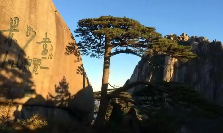 Mount Huangshan Highlights Group Tour -No Shopping