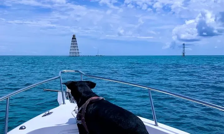 Snorkel the Coral Reef and Explore the Waters of Key West