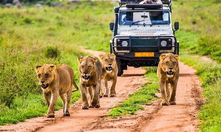 Outstanding day trip to Tarangire National Park