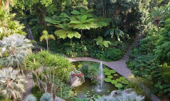 Ischia and La Mortella Gardens