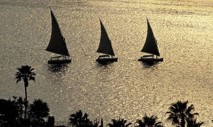 Egyptian Museum & Felucca Ride on the Nile River with Lunch