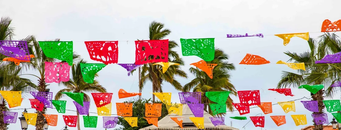 Magical Todos Santos & Camel Ranch
