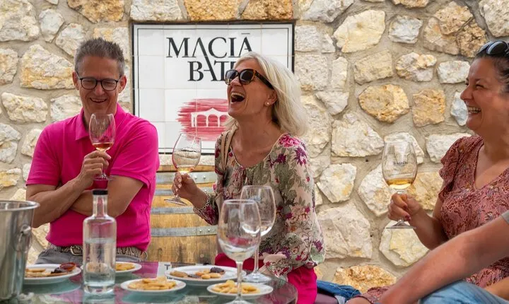 Discover the varieties of wines, olive oil and food on Mallorca
