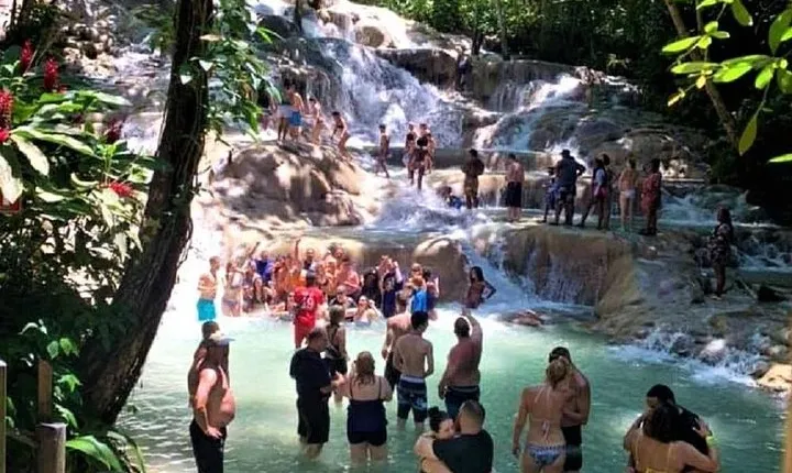 Ocho Rios Shore Excursion: Dunn's River Falls, Beach and Shopping Tour