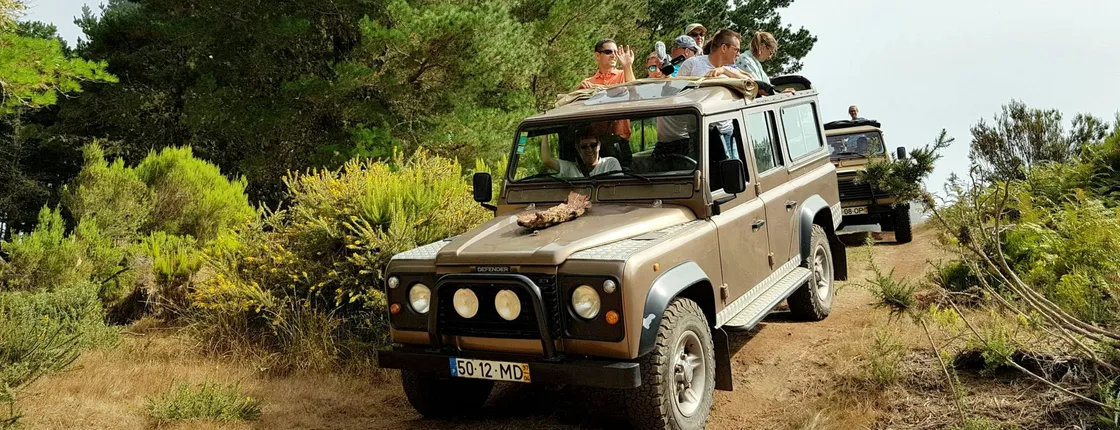 Eastern Madeira sustainable tour in a 4x4 with lunch