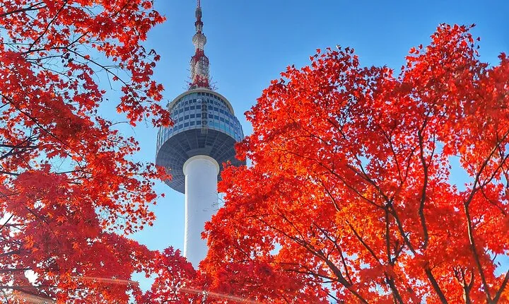 Seoul City Pass Deluxe Top Attractions, Nature and Experiences