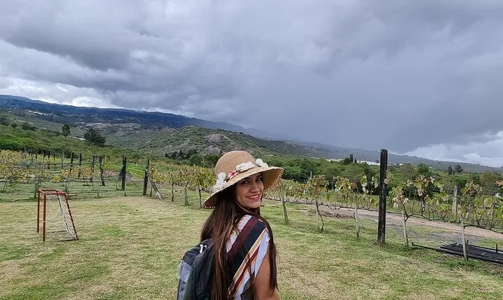 Vineyard Tour from Villa de Leyva Wine Tasting and Scenic Views