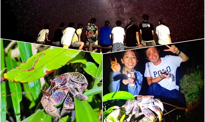 Okinawa Miyako Star gazing and subtropical jungle night tour