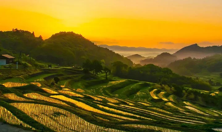 Noto Full Day Driving Tour (Private Car)