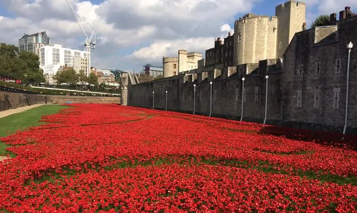 Tower of London Private Guided Tour