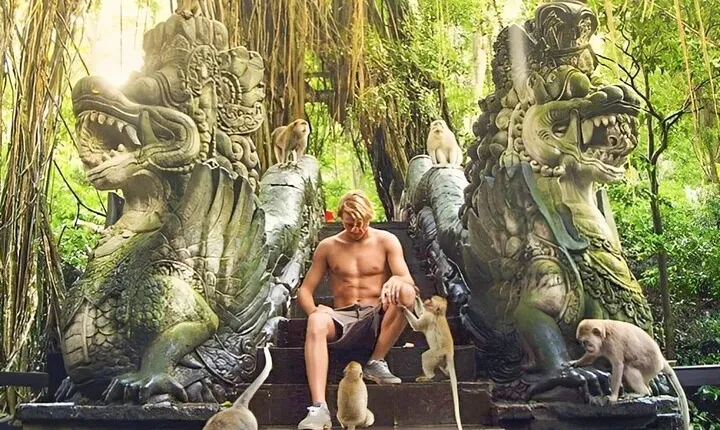 Ubud Tour With Sacred Monkey Forest Sanctuary - Waterfall - Rice Terrace