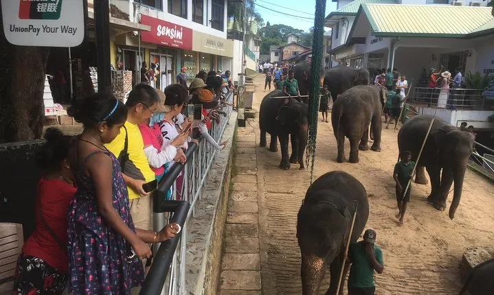 Sri Lanka round tour