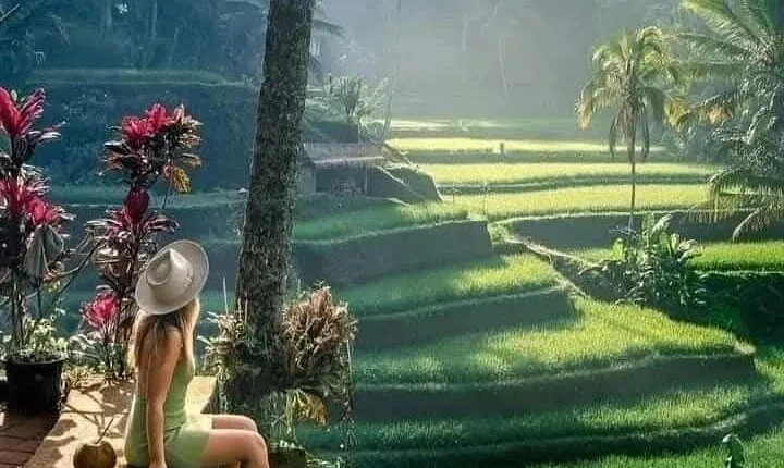 Best of Ubud Sightseeing Private All Inclusive Tour