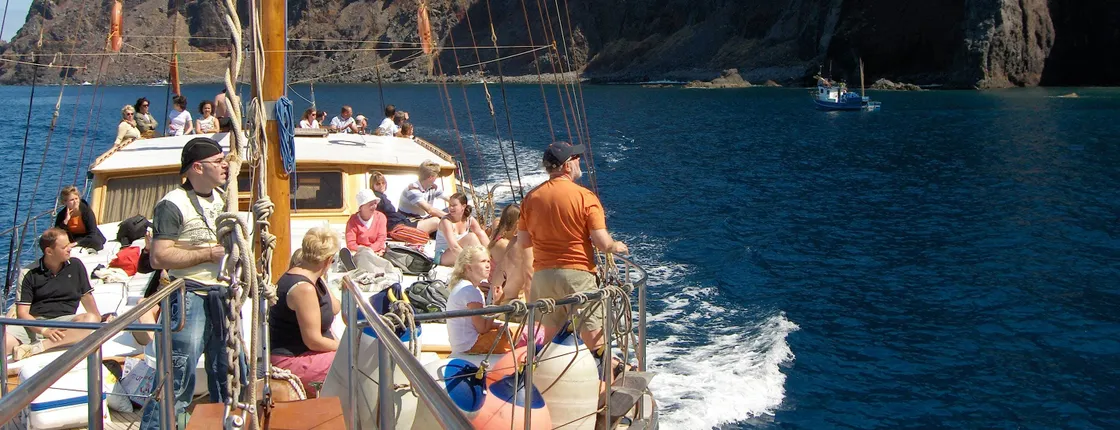 Madeira Dolphin & Whale Tour