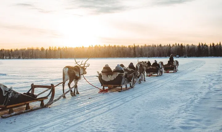 Apukka Reindeer Journey