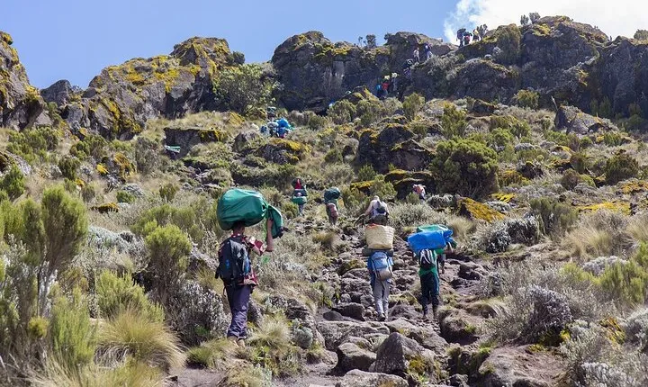 7 Days Mountain Kilimanjaro Hike Marangu Route