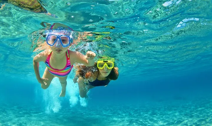 Snorkeling and Dolphin Watching Experience in Destin